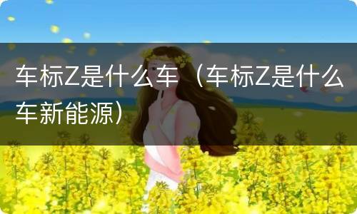车标Z是什么车（车标Z是什么车新能源）
