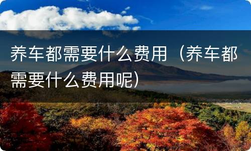 养车都需要什么费用（养车都需要什么费用呢）