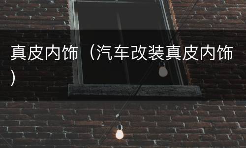 真皮内饰（汽车改装真皮内饰）