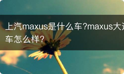 上汽maxus是什么车?maxus大通车怎么样?