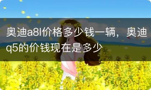 奥迪a8l价格多少钱一辆，奥迪q5的价钱现在是多少
