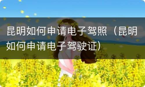 昆明如何申请电子驾照（昆明如何申请电子驾驶证）