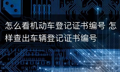怎么看机动车登记证书编号 怎样查出车辆登记证书编号