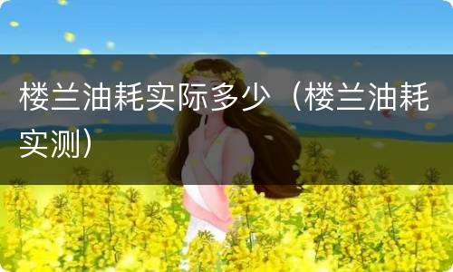 楼兰油耗实际多少（楼兰油耗实测）
