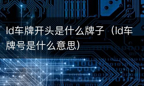 ld车牌开头是什么牌子（ld车牌号是什么意思）