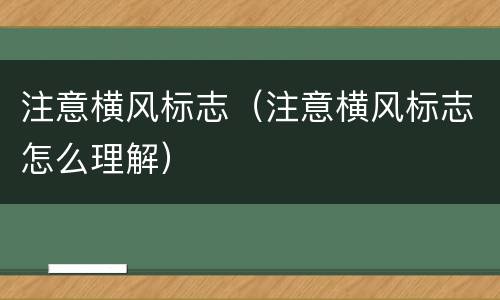 注意横风标志（注意横风标志怎么理解）