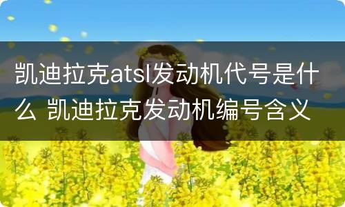 凯迪拉克atsl发动机代号是什么 凯迪拉克发动机编号含义