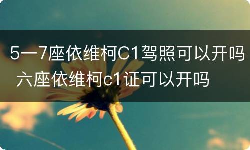 5一7座依维柯C1驾照可以开吗 六座依维柯c1证可以开吗