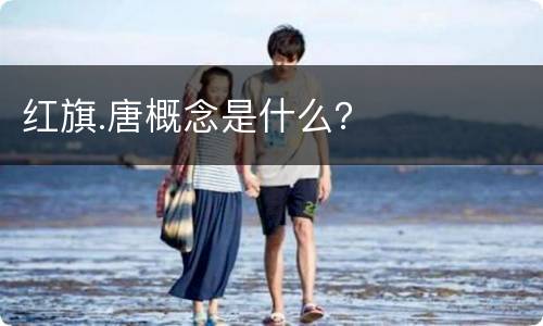 红旗.唐概念是什么？