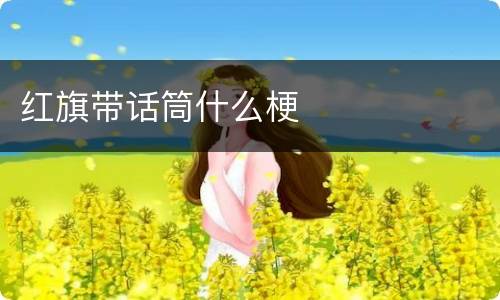 红旗带话筒什么梗