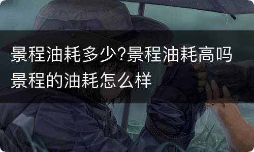 景程油耗多少?景程油耗高吗 景程的油耗怎么样