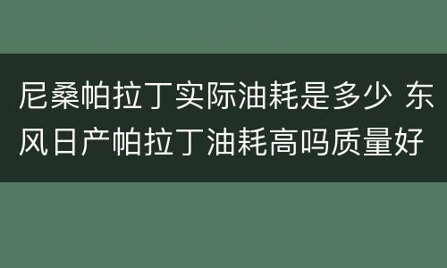 尼桑帕拉丁实际油耗是多少 东风日产帕拉丁油耗高吗质量好吗