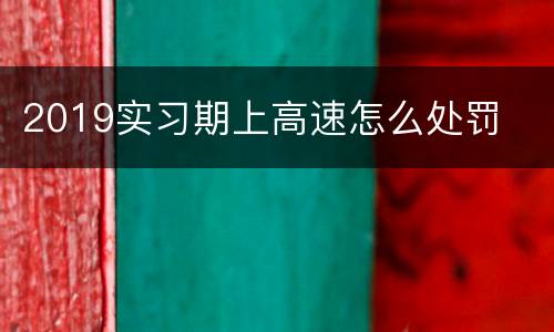 2019实习期上高速怎么处罚