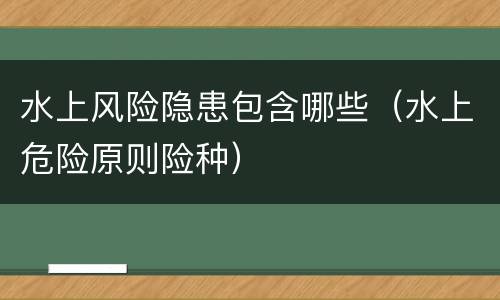 水上风险隐患包含哪些（水上危险原则险种）
