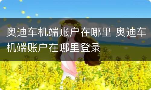 奥迪车机端账户在哪里 奥迪车机端账户在哪里登录