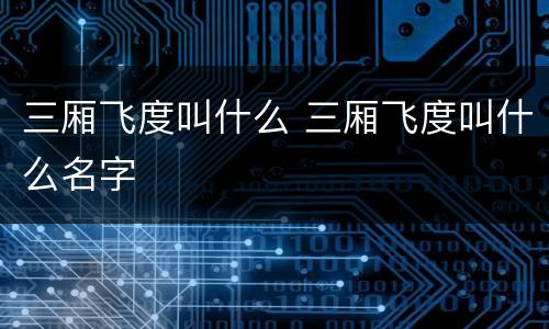 三厢飞度叫什么 三厢飞度叫什么名字