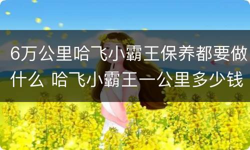 6万公里哈飞小霸王保养都要做什么 哈飞小霸王一公里多少钱