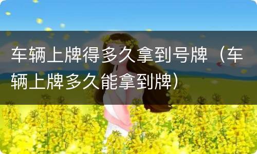 车辆上牌得多久拿到号牌（车辆上牌多久能拿到牌）