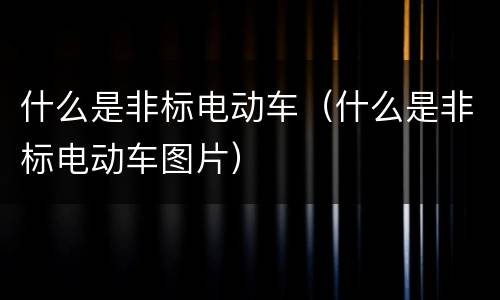什么是非标电动车（什么是非标电动车图片）