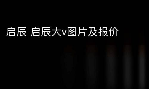 启辰 启辰大v图片及报价