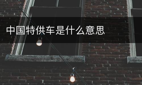 中国特供车是什么意思