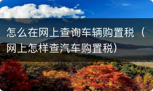 怎么在网上查询车辆购置税（网上怎样查汽车购置税）
