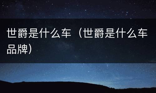 世爵是什么车（世爵是什么车品牌）