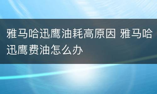 雅马哈迅鹰油耗高原因 雅马哈迅鹰费油怎么办