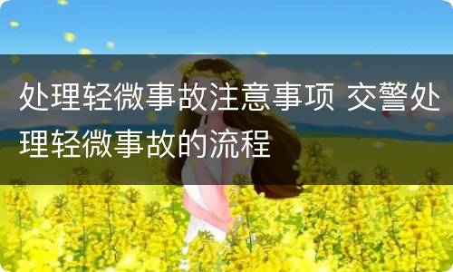 处理轻微事故注意事项 交警处理轻微事故的流程