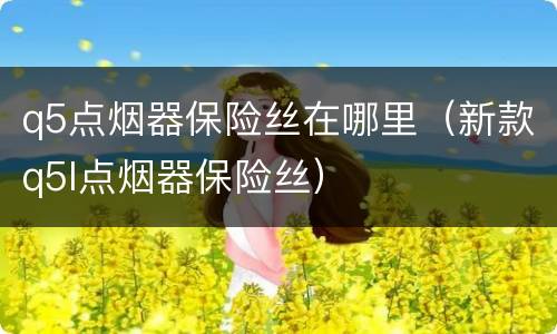 q5点烟器保险丝在哪里（新款q5l点烟器保险丝）