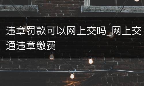违章罚款可以网上交吗_网上交通违章缴费