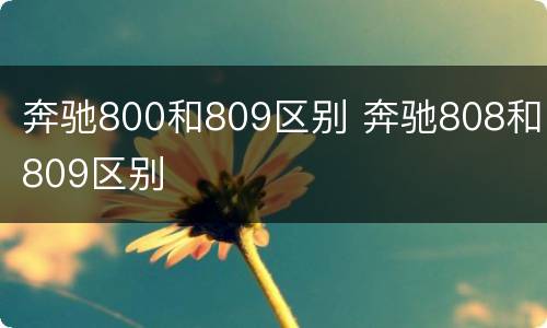 奔驰800和809区别 奔驰808和809区别