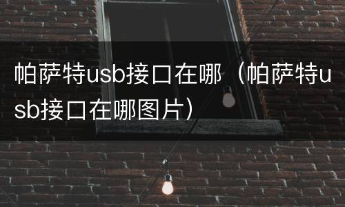 帕萨特usb接口在哪（帕萨特usb接口在哪图片）