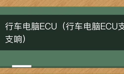 行车电脑ECU（行车电脑ECU支支响）