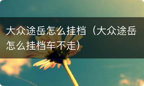 大众途岳怎么挂档（大众途岳怎么挂档车不走）