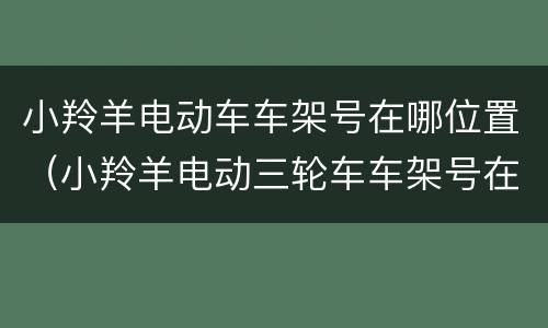 小羚羊电动车车架号在哪位置（小羚羊电动三轮车车架号在哪里）