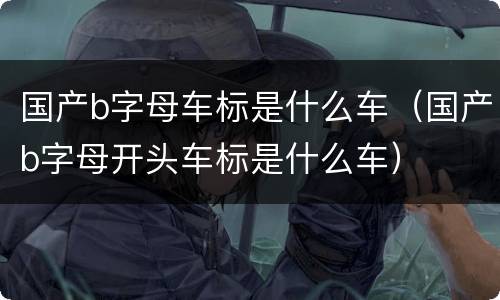国产b字母车标是什么车（国产b字母开头车标是什么车）