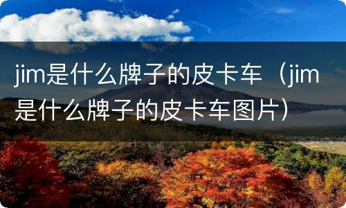 jim是什么牌子的皮卡车（jim是什么牌子的皮卡车图片）