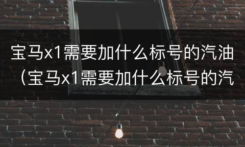 宝马x1需要加什么标号的汽油（宝马x1需要加什么标号的汽油滤芯）