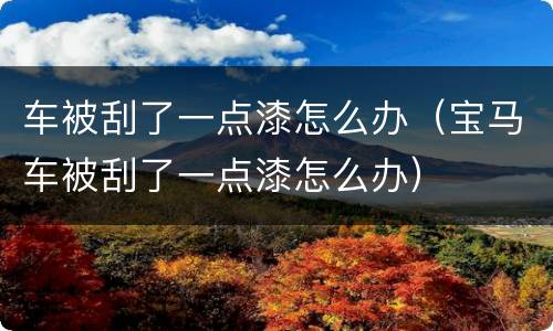 车被刮了一点漆怎么办（宝马车被刮了一点漆怎么办）