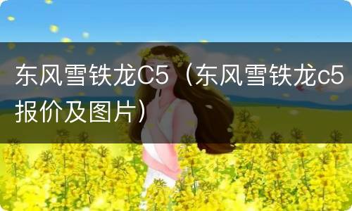 东风雪铁龙C5（东风雪铁龙c5报价及图片）