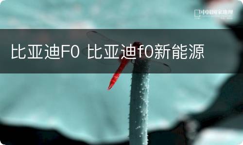 比亚迪F0 比亚迪f0新能源