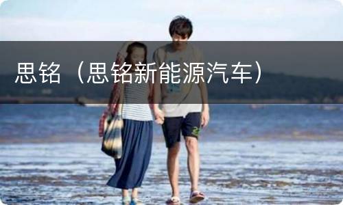 思铭（思铭新能源汽车）