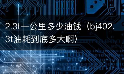 2.3t一公里多少油钱（bj402.3t油耗到底多大啊）
