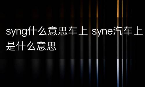 syng什么意思车上 syne汽车上是什么意思