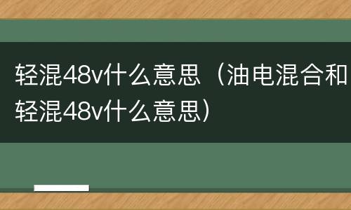 轻混48v什么意思（油电混合和轻混48v什么意思）