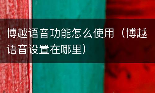 博越语音功能怎么使用（博越语音设置在哪里）