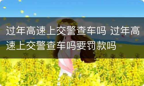 过年高速上交警查车吗 过年高速上交警查车吗要罚款吗