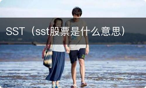 SST（sst股票是什么意思）