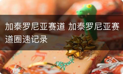 加泰罗尼亚赛道 加泰罗尼亚赛道圈速记录
